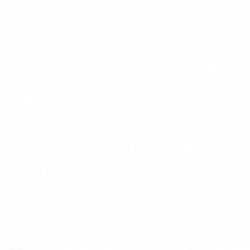 Divi Wordpress Theme