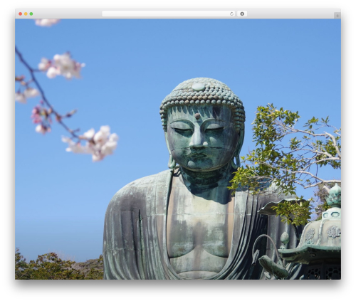 12Net best WordPress theme - 12net.jp