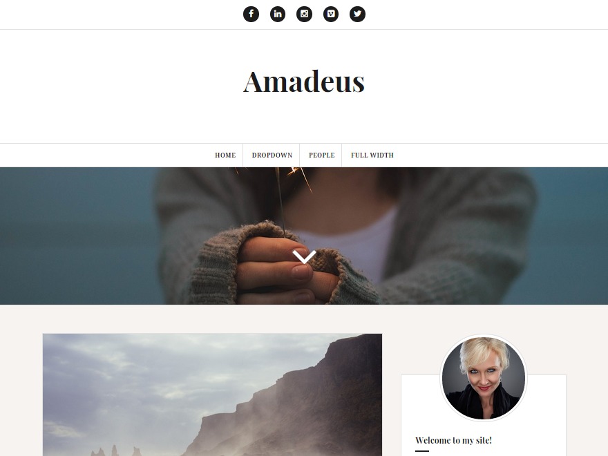 Amadeus WordPress blog theme by Themeisle