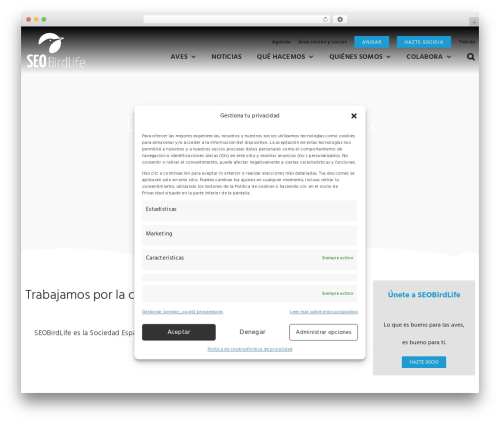 Avada Child top WordPress theme - seo.org