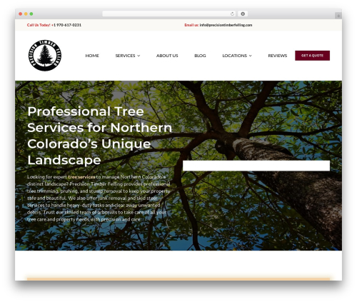 MonsterInsights – Google Analytics Dashboard for WordPress (Website Stats Made Easy) (google-analytics-for-wordpress) free WordPress plugin - precisiontimberfelling.com