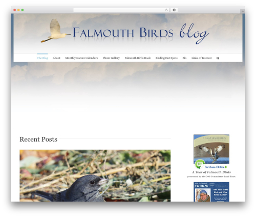 Avada WP theme - falmouthbirds.com