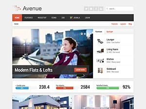 Avenue best WordPress theme
