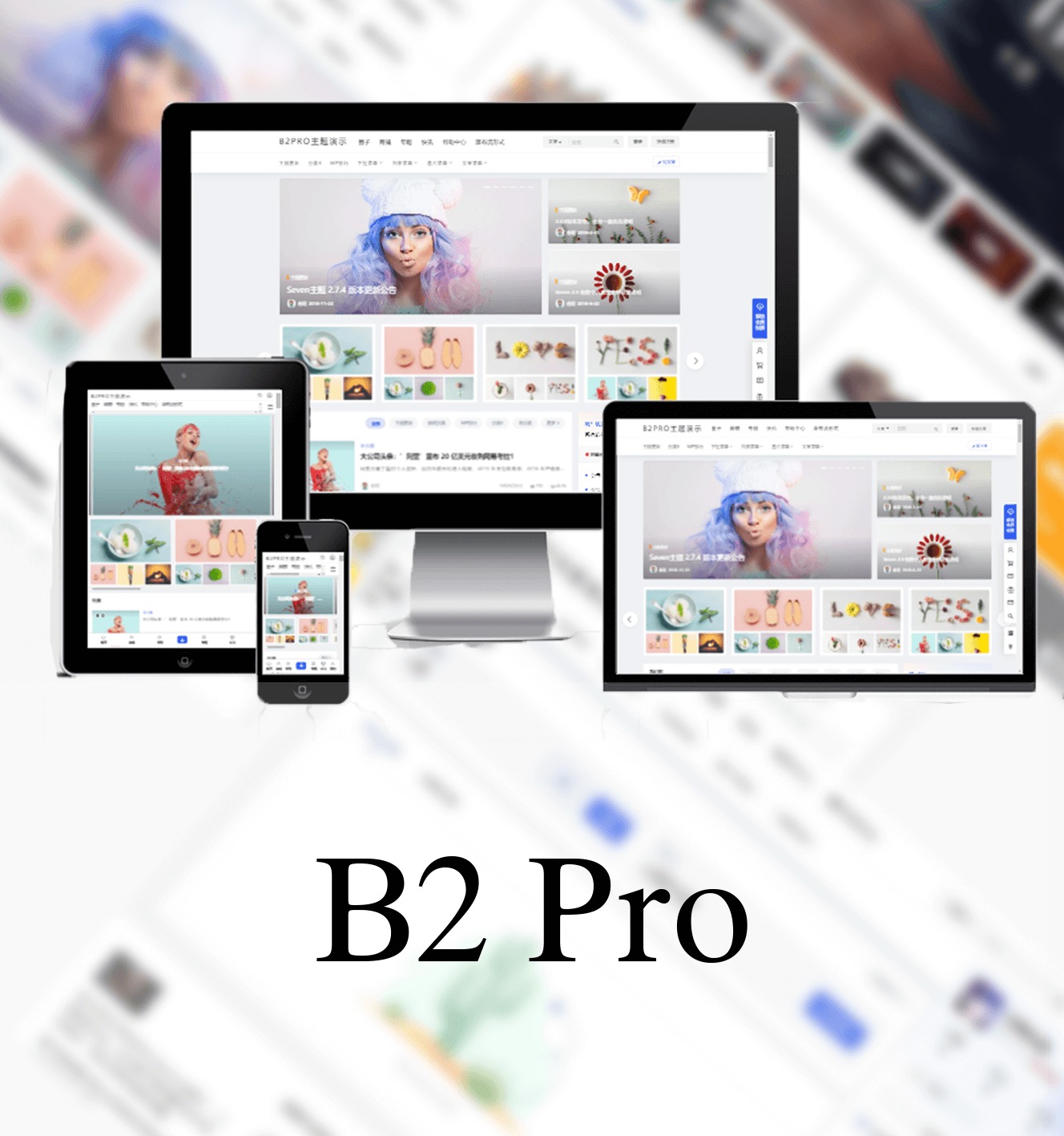 B2子主题 best WordPress theme