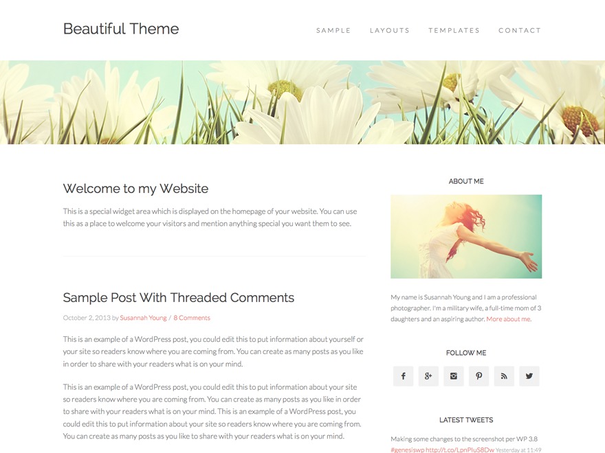 Beautiful Pro Theme WordPress website theme by StudioPress