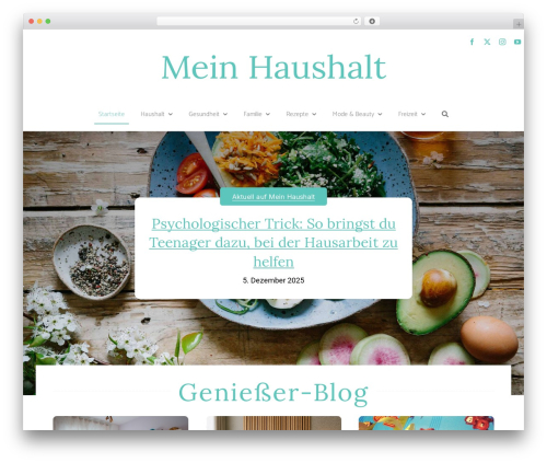 Best WordPress theme Avada - meinhaushalt.at