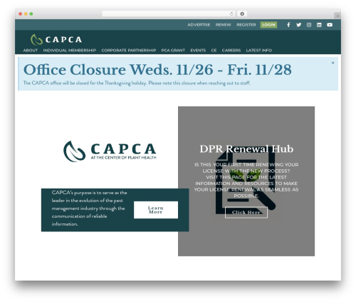 Best WordPress theme Hello Elementor - capca.com