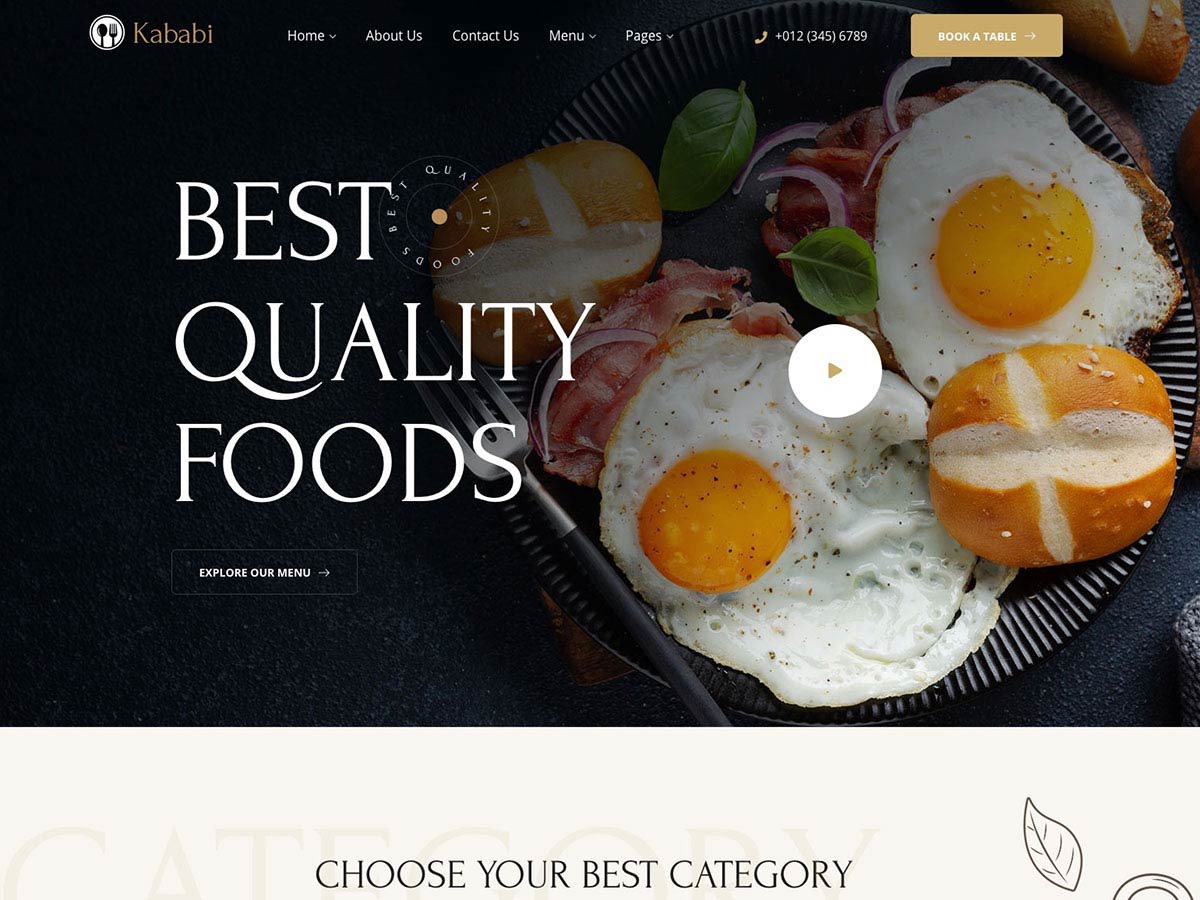 Best WordPress theme kababi