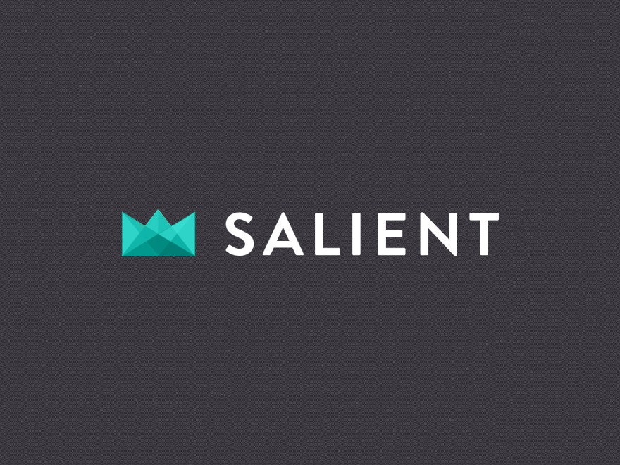 Best WordPress theme Salient by ThemeNectar
