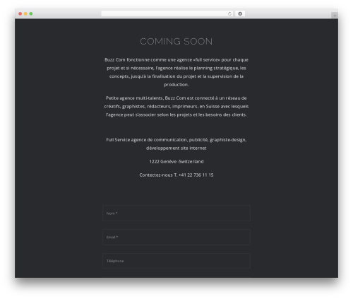 Best WordPress theme Avada Child - buzzcom.ch