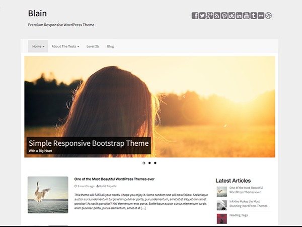 Blain free WordPress theme