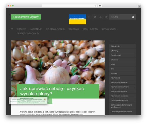 BlogTime WordPress theme - przydomoweogrody.pl