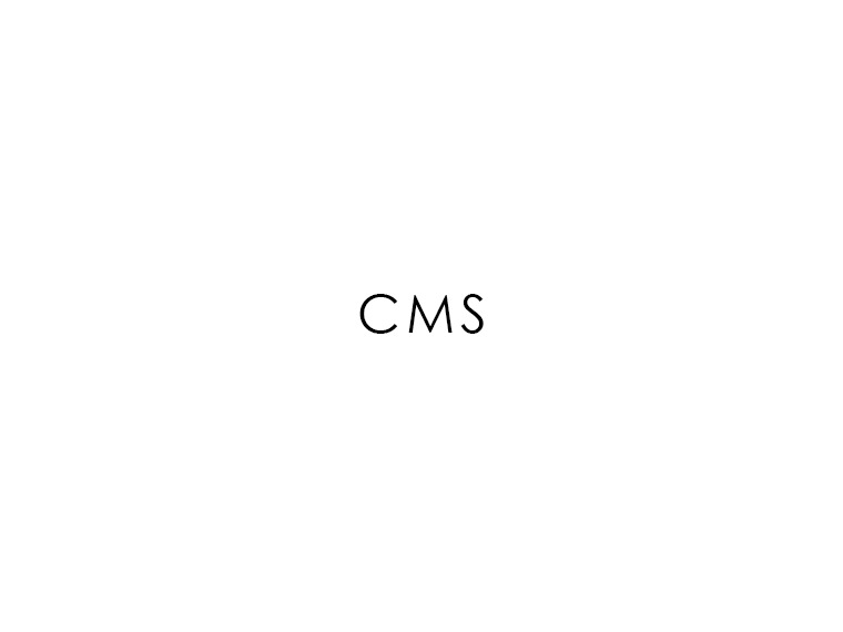 CMS WordPress page theme