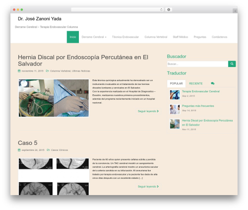 Dazzling WordPress theme - derrame.net