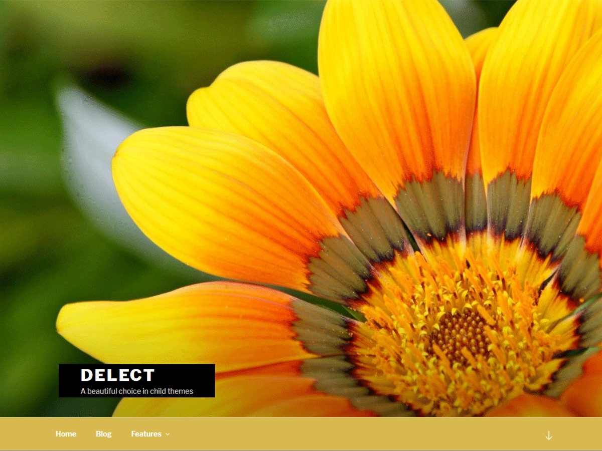 Delect WordPress theme free download