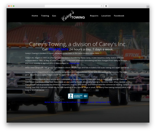 Divi best WordPress theme - careystowing.com