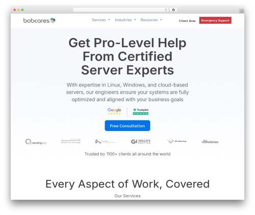 Divi business WordPress theme - bobcares.com
