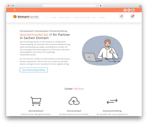 Divi personal WordPress theme - domainhandel.biz