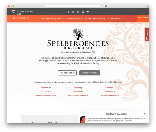 Divi theme WordPress - spelberoende.se
