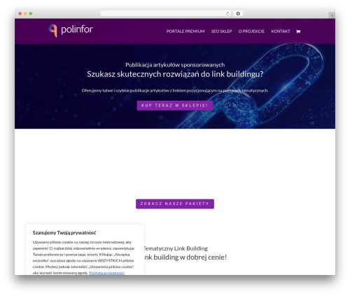 Divi theme WordPress - polinfor.pro