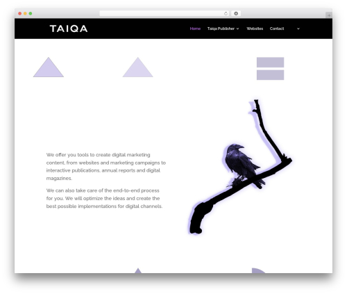 Divi theme WordPress - taiqa.com