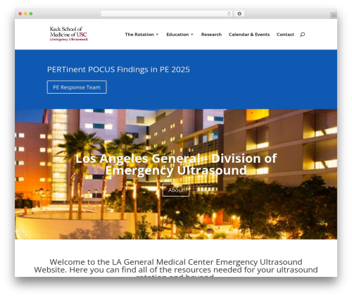 Divi WordPress theme - ultrasound.rocks