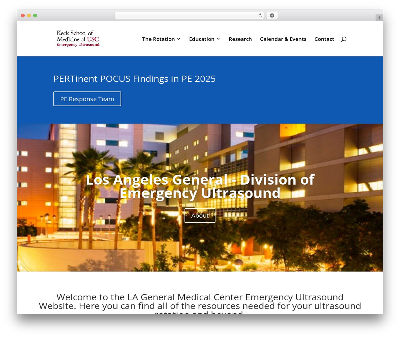 Divi WordPress theme - ultrasound.rocks