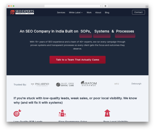 Divi WordPress theme - seoexpertscompanyindia.com