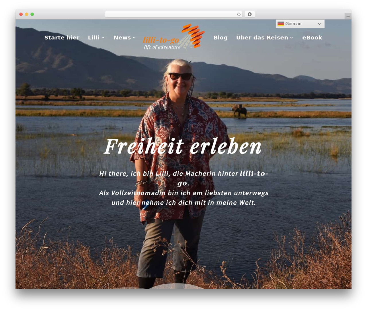 Divi Child Theme WordPress theme - lilli-to-go.com