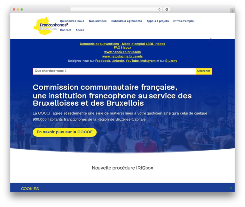 Divi WordPress theme - ccf.brussels