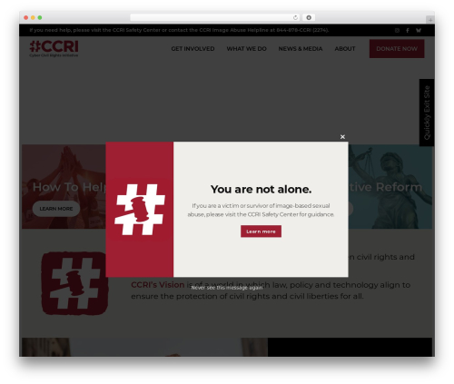 DMS Genesis Starter Theme WordPress theme - cybercivilrights.org
