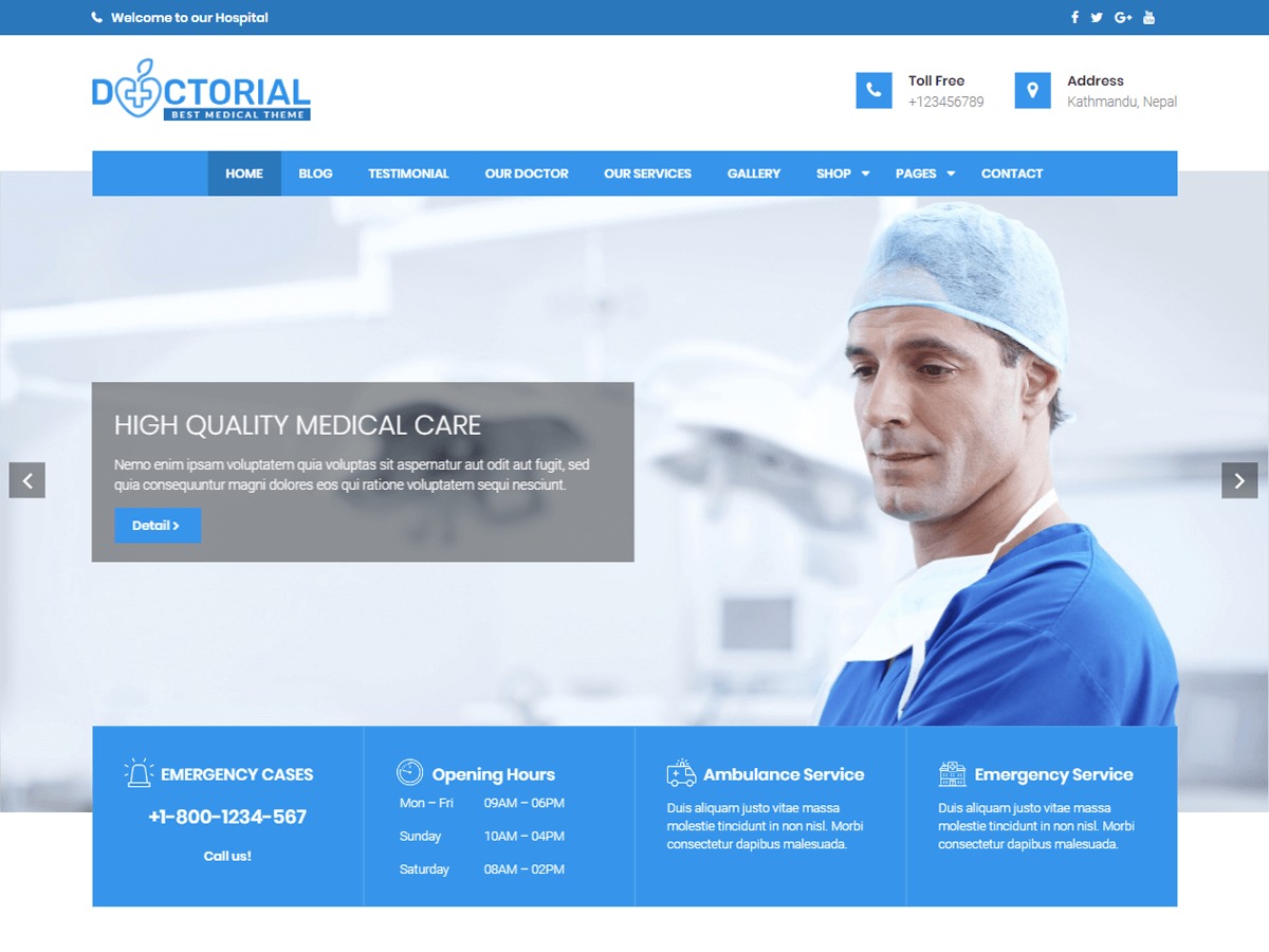 Doctorial WordPress theme for business