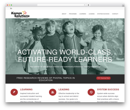 Enfold WordPress page theme - kammsolutions.com