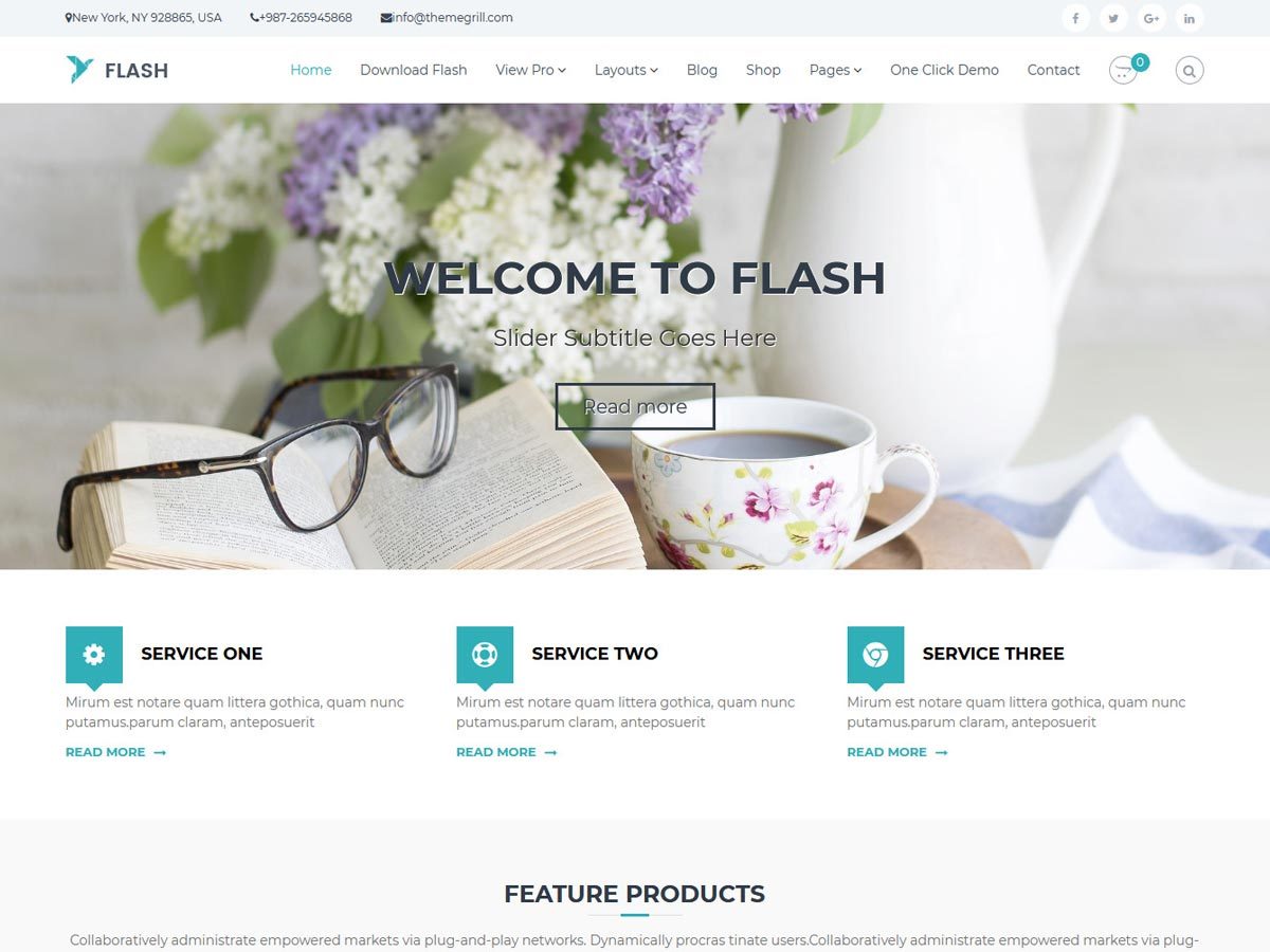 Flash theme free download by ThemeGrill