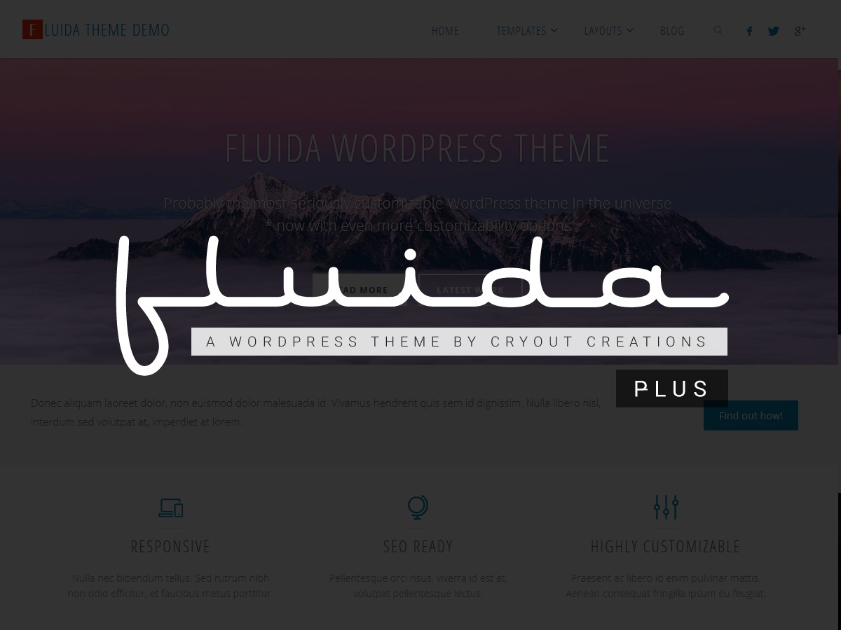 Fluida Plus WordPress gallery theme by Cryout Creations