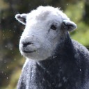 Say what? free WordPress plugin Say what? free WordPress plugin