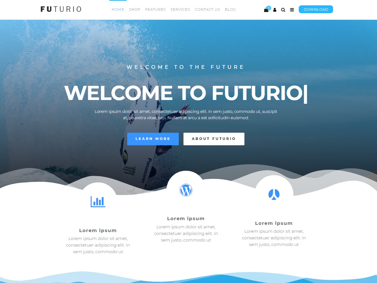 Futurio WordPress store theme