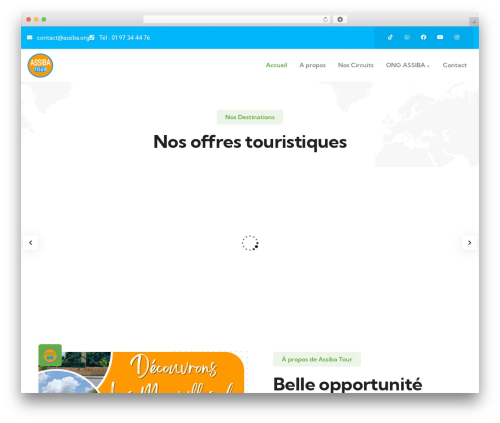 Gowilds WordPress website theme - assiba.org