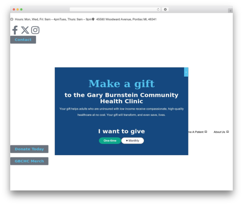 Hello Elementor premium WordPress theme - garyburnsteinclinic.org