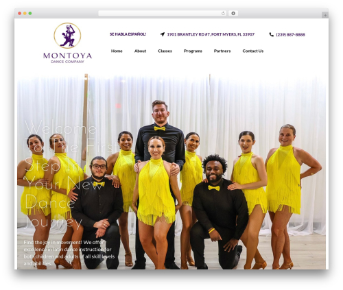 Hello Elementor theme WordPress free - elegantrumba.com