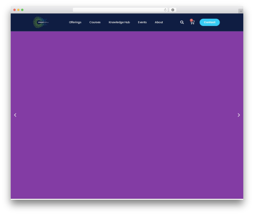 Hello Elementor WordPress page theme - ziwani.com