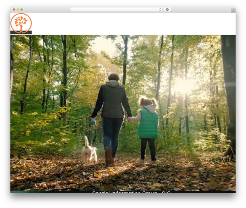 Hello Elementor WordPress theme - sig-gis.com