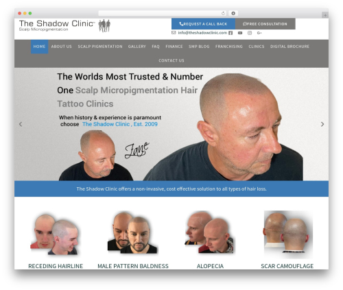 Hello Elementor WordPress theme - theshadowclinic.co.nz