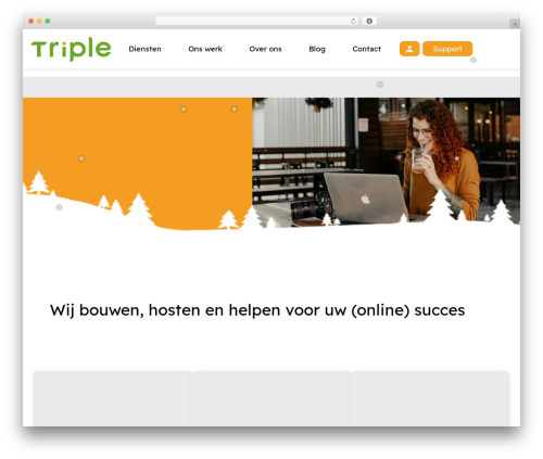 Hello Elementor WP theme - triple.nl