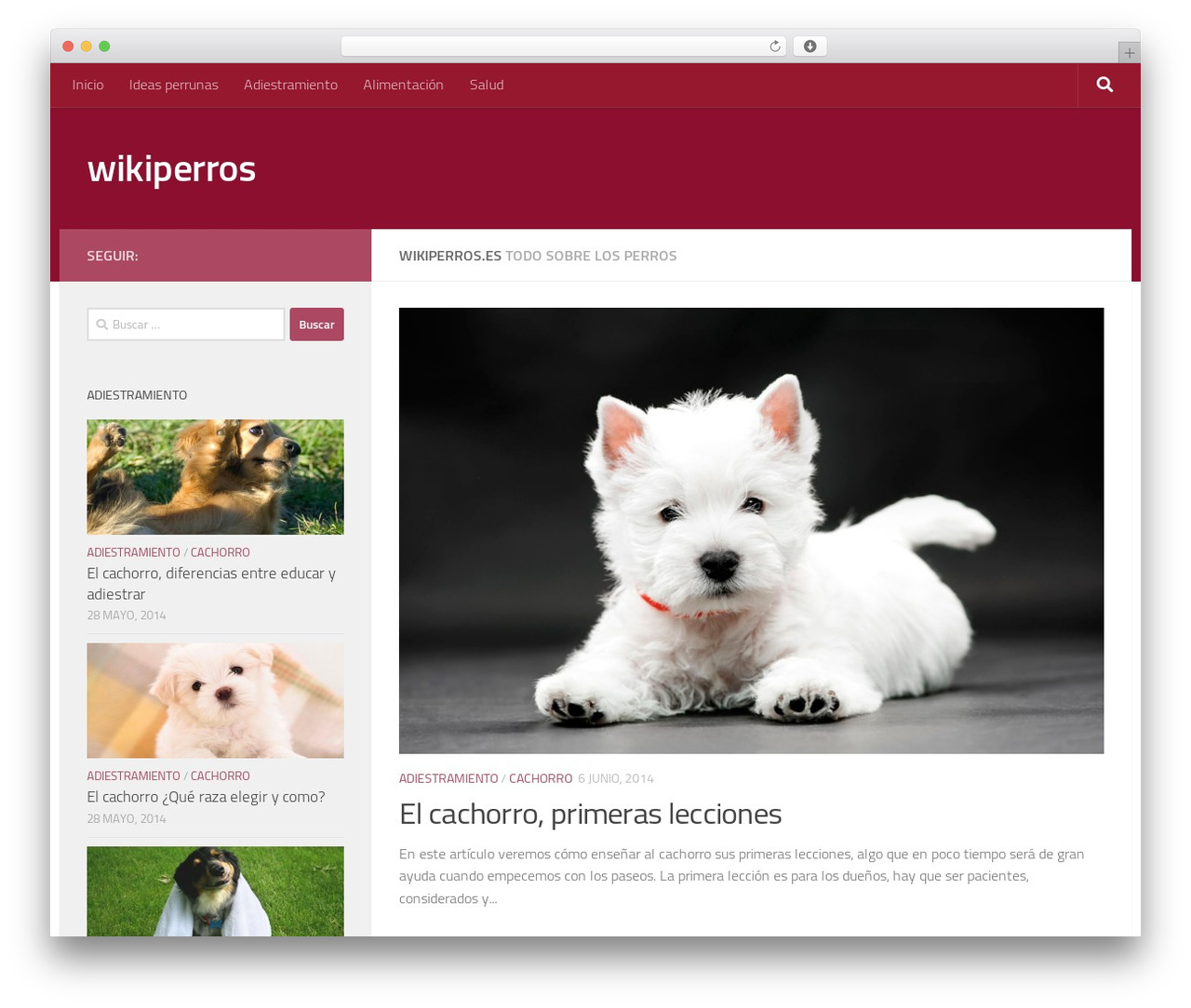 Hueman free WP theme - wikiperros.es