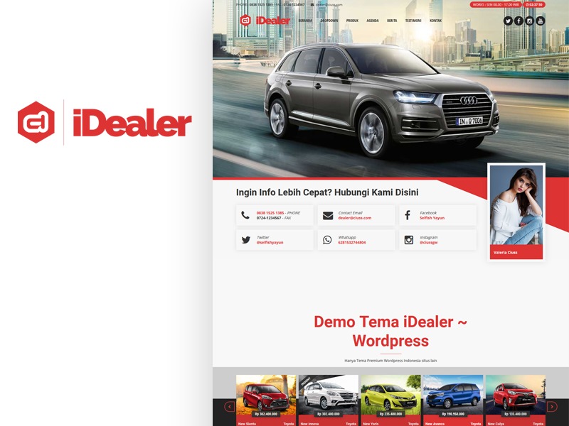iDealer best WordPress theme