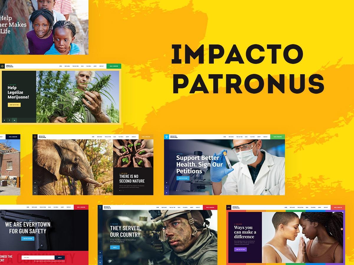 Impacto Patronus best WordPress theme