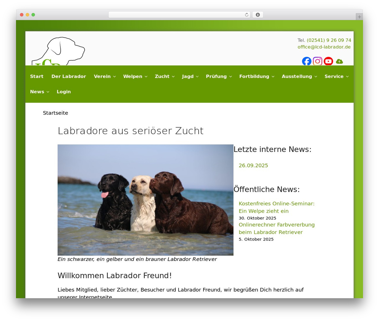 LCD theme WordPress - lcd-labrador.de