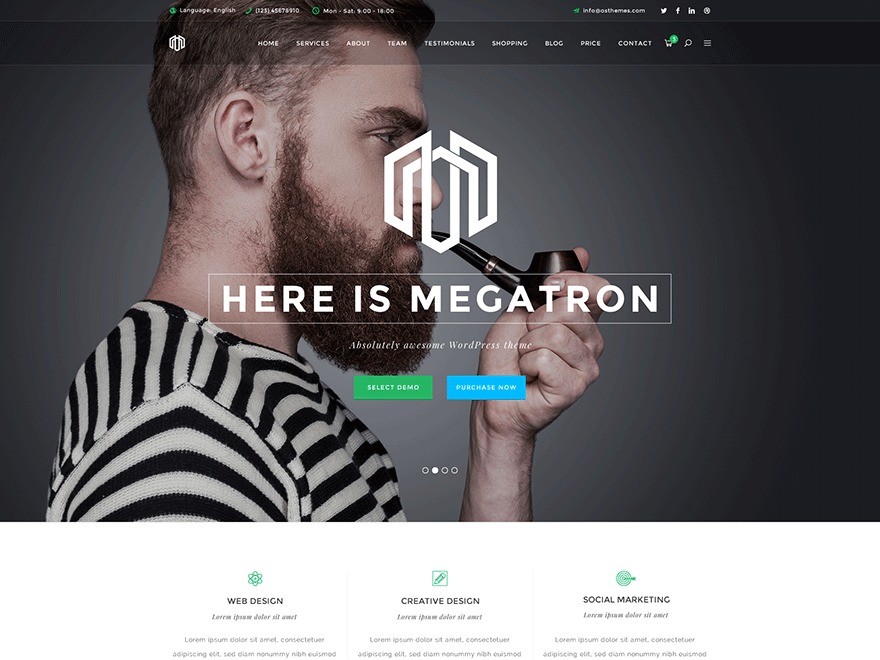Megatron best WordPress theme