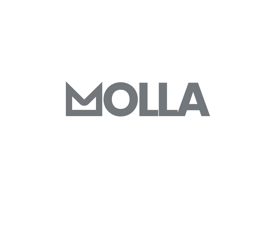 Molla Child WordPress store theme